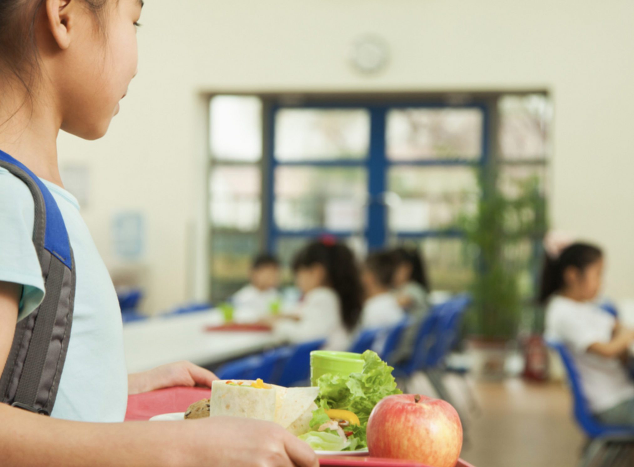 Coalition Health School Food - Child Carrying Lunch