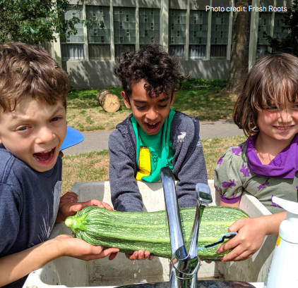 2021-07-12 - School Food Garden