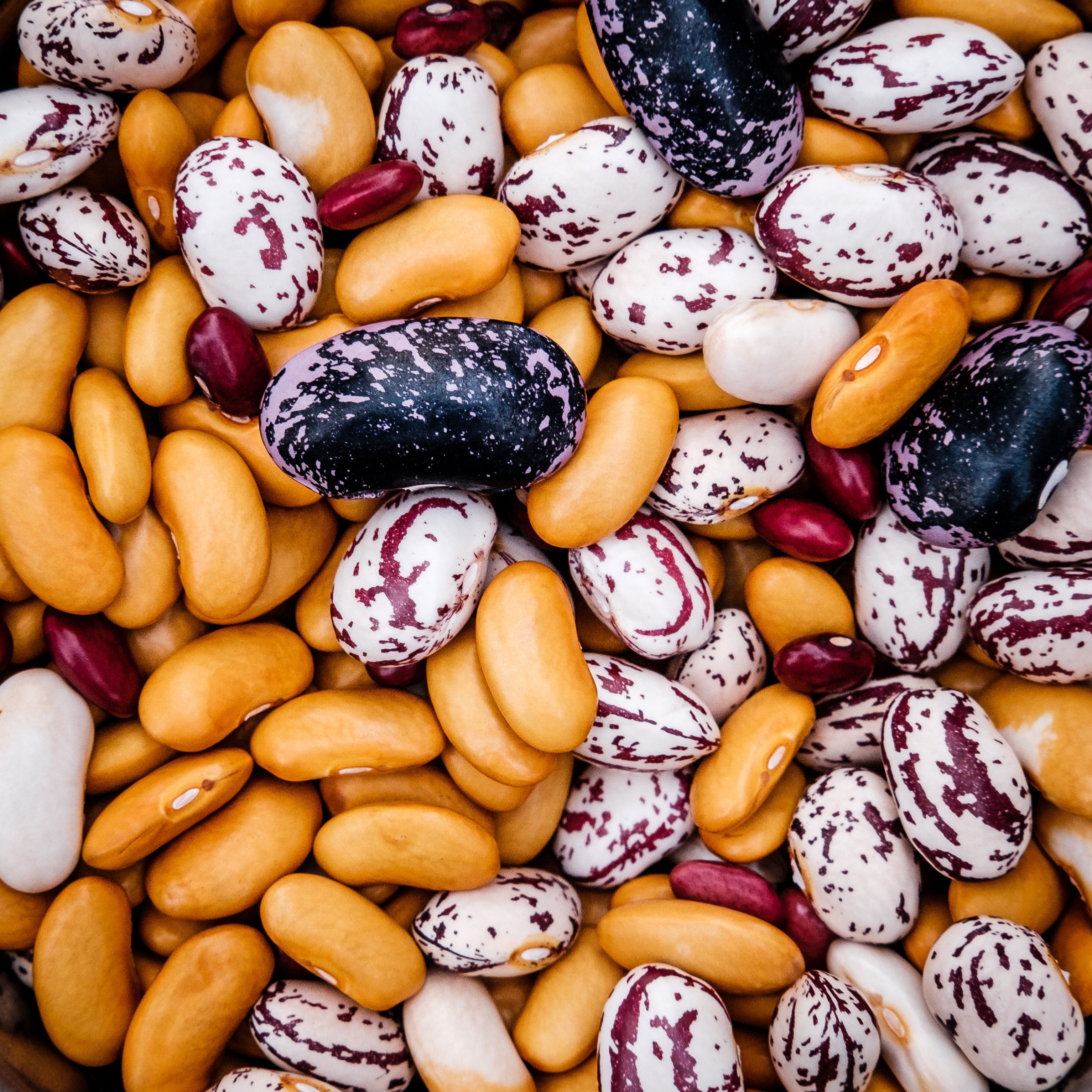 Colourful beans