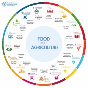 2022-fao-food-and-agriculture-sdg-wheel